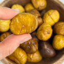 내외로마트 이미지