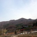 원적산 정상 이미지