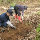 행복한 미래 이미지