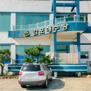 감포해수탕 이미지