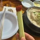 대영중학교 | 초복에 호수삼계탕 후기