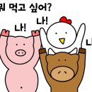 용이네축산 - 남양주시 가운로2길 28 | 용이네축산