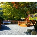 단풍나무펜션민박 이미지