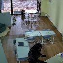 무안행복중학교 | 공개. 봄을 맞이하는 임산부의 자세. 여전히 구역질ㅠ 입덧수액비용으로 국민행복 바우처 전액 소진하다.