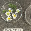 김지영 | [파주 카페] 드디어 성공한 인스타 핫플 ‘소경계’ 후기! 🌿 하트시그널 김지영님 실물 영접💚