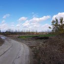 여주-1050 이미지