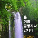 2024 ㅡ 변산 비취파트ㅡ 육중완밴드ㅡ 변산 해수욕장 공연ㅡ 이미지