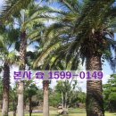 제주댁 농장 이미지