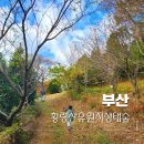 황령산유원지 생태숲 | 부산 산책코스 황령산 유원지 생태숲 야외놀이터 산스장 추천