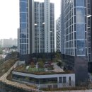 더메종 11동 | 성남시 입주청소 황송마을 아파트. 금빛그랑메종 입주청소