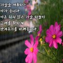 영혼을 울리는 아름다운 글 이미지