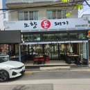 돈돼지