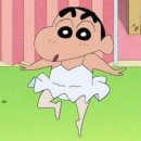 한화 하이安 세탁 | 취발러의 발레용품 구매목록 (챠코트 , 타이파, 알리, 데비웨어)