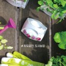 그린 (212) 이미지