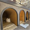 소나무헬스클럽 이미지