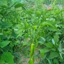 문창농장 이미지