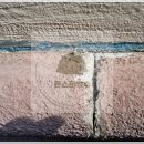 금성빌라 앞 이미지