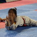 명품홍익태권도장 이미지