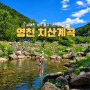 통큰생오리영천점 | 영천 치산계곡 아이랑 물놀이 주차 평상 취사 카라반까지