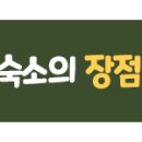 에프에프모텔 이미지