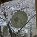 그루밍 봄 이미지