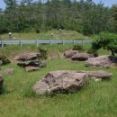 완도 고금도 지석묘군 이미지