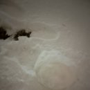 하도휴양소 이미지