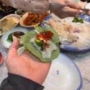 빨간꼼장어 이미지