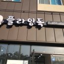 플라잉독 이미지