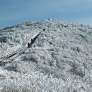 노고단-12 이미지