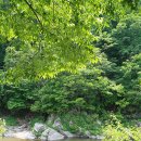 와라캠핑장 이미지