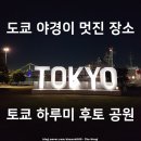 오케이카프라자 | 일본 야경 명소 도쿄 여행 토쿄 하루미 후토 공원