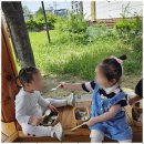 동구사랑 어린이집 이미지