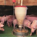 풍일농장 이미지