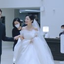파란 DVD