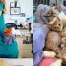 바른진료 동물병원 이미지