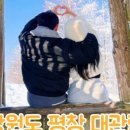 오리골목장 네이버블로그