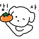 이나닭강정두정점