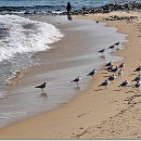 어달해변 이미지