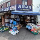 지일유통