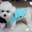 헬로우프리티 네이버블로그