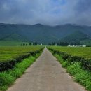 동복주유소 이미지