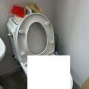 노온사동 365 이미지