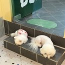 모두다요기