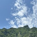 2일차 여행코스 추천 : 울릉도 스쿠터 대여 자전거탄풍경, 행남해안산책로, 신비섬 물회, 태하향목모노...