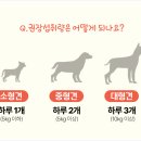 이든덴탈 이미지