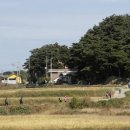 중앙사슴목장 이미지