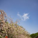 각원사길 이미지