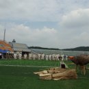 민속운동장 이미지