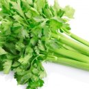 다이어트365GYM 이미지